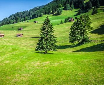 alps